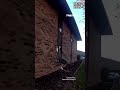 WATCH: Cops UNFAZED as deer crashes through apartment window #shorts