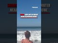 WATCH: Shark leaps out of water near California shore #shorts