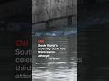 South Korea's celebrity shark foils third rescue attempt