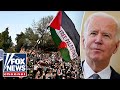 Democrat challenged on Biden's response to anti-Israel campus mobs