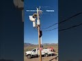 UN-BEAR-ABLE: Lineman saves bear after climbing utility pole #foxnews #news #shorts #animals