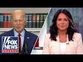 President Biden’s failing to uphold the rule of law: Tulsi Gabbard
