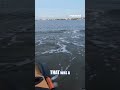 WATCH: MASSIVE bull shark ROCKS kayaker #shorts #viral #ocean