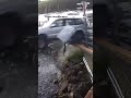 WATCH: Drunk driver launches car off a ferry dock and plunges into the water #shorts #viral #us #usa