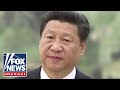 Narcotics official sounds alarm on Chinese marijuana farms in US: They want to ‘blend in’