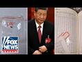 'DIRECT THREAT': Chinese smuggling suspects operated dangerous pathogen scheme for years