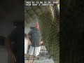 SAFETY FIRST!: Gator goes for a dip then buckles up for a car ride #alligator #shorts #florida