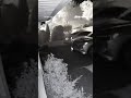 A massive house explosion sparked a fire, destroying the home #shorts #viral #usa #us