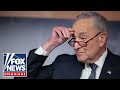‘SCARED OLD MAN’: Emmer says Schumer clinging to power amid shutdown