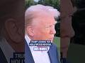 Trump looks to bring movies back to Hollywood #trump #hollywood #film #foxnews #movies #news #shorts