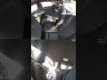 Handcuffed suspect STEALS police cruiser with OFFICER INSIDE #foxnews #news #us #fox