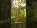 Wild police chase ends with K9 takedown #shorts