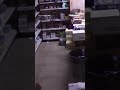 PARTY ANIMAL: Newly released video shows the raccoon that broke into a closed liquor store #shorts