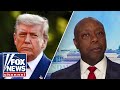 'HOGWASH': Tim Scott slams accusation against Trump