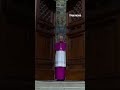 The doors of the Sistine Chapel have closed as cardinals prepare to vote in the papal conclave