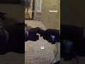 Homeowner comes FACE-TO-FACE with alligator at front door #foxnews #news #shorts #house #animals
