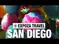 San Diego Vacation Travel Video Guide