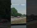 WATCH: Footage captures an 18-wheeler plowing through traffic at a NC intersection