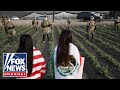 Border chief rips Dems' ICE resistance after pot farm raid: 'This is what you get!'