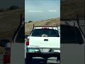 Hitchhiking raccoon feels wind its hair on California freeway #shorts #news #us #foxnews