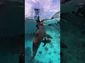 'JAWS'-DROPPING ATTACK: Sharks lunge at diver's GoPro during a close-call encounter #shark  #shorts