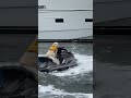 GOOD BOY: Golden retriever spotted riding solo on a jet ski #animals #shorts #viralvideo #news #dog