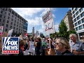 'Who's paying for these protests?': Dems accused of 'phony' opposition