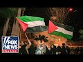 Anti-Israel protesters applaud Iranian attack