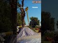 Landscapers survive 45-FOOT PLUNGE after cable SNAPS #shorts