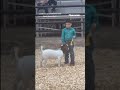 Boy goes viral for embracing his goat after earning fourth place #shorts #foxnews #viral #news