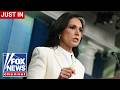 JUST IN: Tulsi Gabbard drops BOMBSHELL allegation against Fauci
