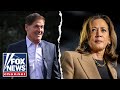 ‘AWFUL’: Mark Cuban turned down VP vetting offer from Harris team