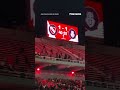 WATCH: Violent brawl between rival fans breaks out in stands #shorts #usa #us #news #new #sports