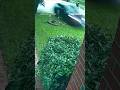 Grandmother killed after Tesla CRASHES into home #foxnews #news #shorts #tesla #crash