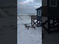 WATCH: Strong waves caused severe damage to waterfront homes in NC #shorts #usa #us #hurricane