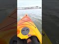 ‘WHALE OF A TALE’: Tourist captures moment two beluga whales swim around her kayak #shorts #news