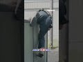 WATCH: 'Superman' trains with ICE #shorts #foxnews #news #us #fox #deancain #usnews #ICE