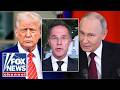 NATO leader reveals what's next after Trump cancelled Putin meeting