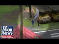CAUGHT ON TAPE: Man tears down Trump banner, fires shots at home