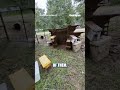 Millions of honeybees suddenly filled the air after a truck carrying bee hives overturned #shorts