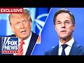 'WEREN'T THERE FOR US': NATO secretary addresses Trump's disappointment after Iran conflict