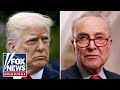 'What are they afraid of?': Schumer takes aim at Trump