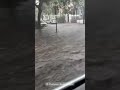 'NO WAKE ZONE': Driver navigates flash flooding in Charleston, South Carolina #shorts