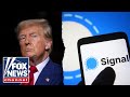 Who is to blame in the Signal chat leak?