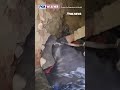 INCREDIBLE RESCUE: Firefighters save dog trapped in rubble #shorts #foxnews #news #us