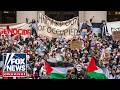 'Teaching and preaching antisemitism': Former Harvard professor issues warning