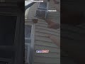 WATCH: Dramatic rescue as child leaps from burning house #shorts #viral #foxnews #news #us #fox