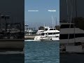 'HE JUMPED OFF': A yacht crashes into a seawall due to mechanical failure #shorts #viral #yacht #usa