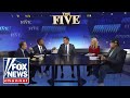 'The Five' ROASTS response to Minnesota fraud...
