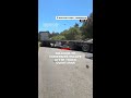 Millions of bees buzz around Washington state roads after truck overturns